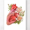 Herz Anatomie - Floral - Weiß | Codex Anatomicus Clearance