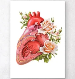 Herz Anatomie - Floral - Weiß | Codex Anatomicus Clearance