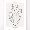 Herz Anatomie - Line-Art | Codex Anatomicus Hot