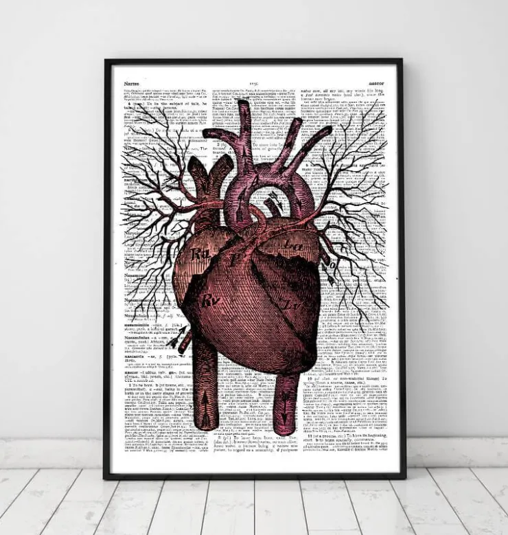 Herz Anatomie - Wörterbuch | Codex Anatomicus Outlet