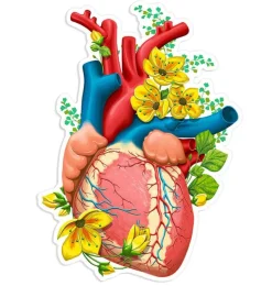 Herz Anatomie Aufkleber II - Floral | Codex Anatomicus Best