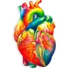 Herz Anatomie Aufkleber II - Aquarell | Codex Anatomicus Discount