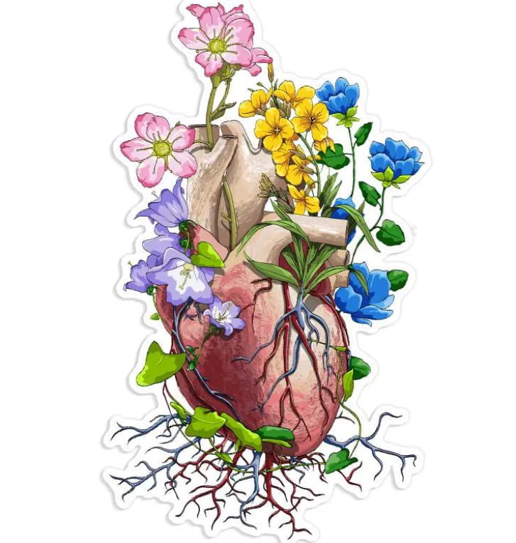 Herz Anatomie Aufkleber III - Floral | Codex Anatomicus Hot