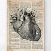 Herz Anatomie I - Altes Wörterbuch | Codex Anatomicus Outlet
