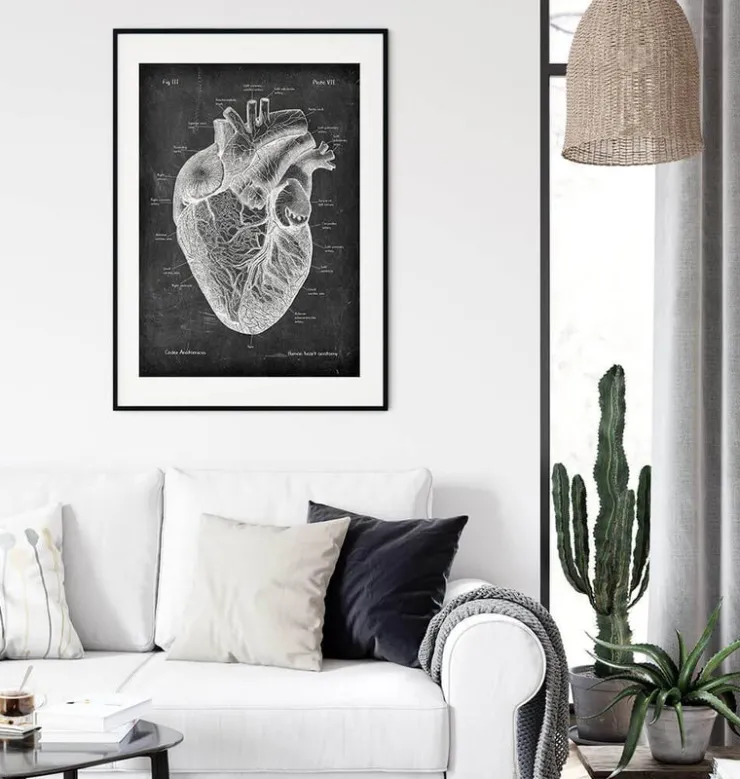 Herz Anatomie I - Chalkboard | Codex Anatomicus Discount