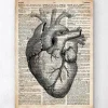 Herz Anatomie II - Altes Wörterbuch | Codex Anatomicus Online