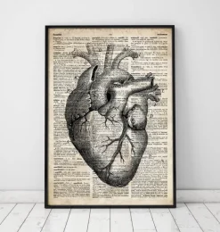 Herz Anatomie II - Altes Wörterbuch | Codex Anatomicus Online