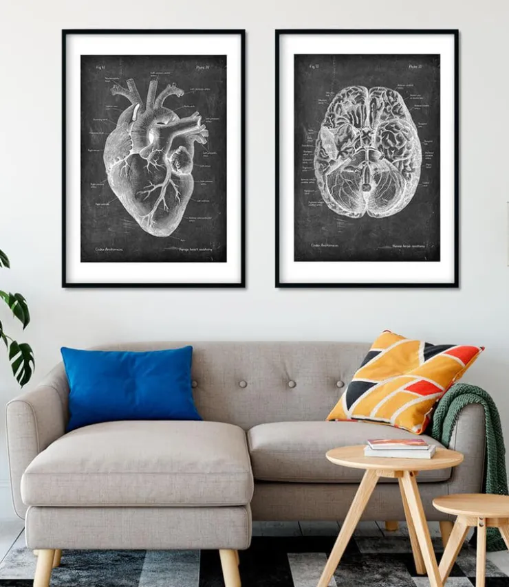 Herz Anatomie II - Chalkboard | Codex Anatomicus Best
