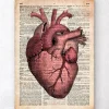 Herz Anatomie III - Alte Wörterbuch | Codex Anatomicus Online