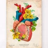 Herz Anatomie III - Floral - Vintage | Codex Anatomicus Discount