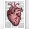 Herz Anatomie III - Wörterbuch | Codex Anatomicus New