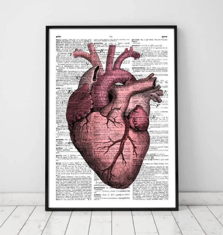 Herz Anatomie III - Wörterbuch | Codex Anatomicus New