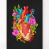 Herz Anatomie IV- Floral - Schwarz | Codex Anatomicus Online