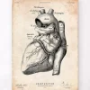 Herz Anatomie Kunst | Codex Anatomicus Hot