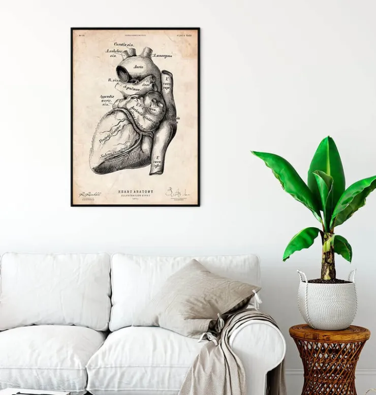 Herz Anatomie Kunst | Codex Anatomicus Hot