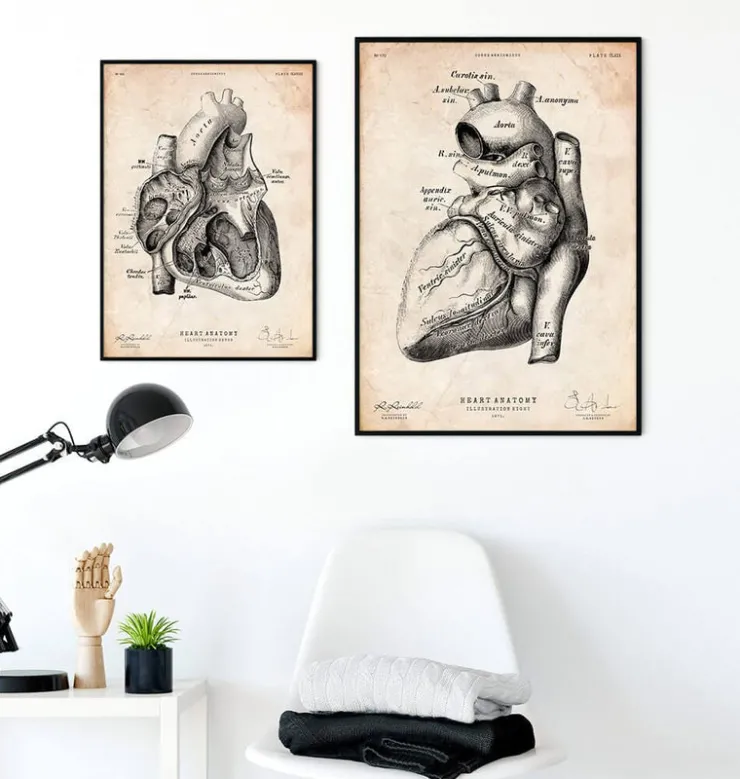 Herz Anatomie Kunst | Codex Anatomicus Hot