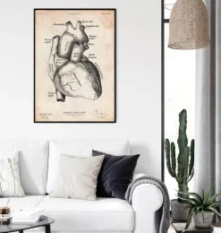 Herz Anatomie Kunst II | Codex Anatomicus Outlet