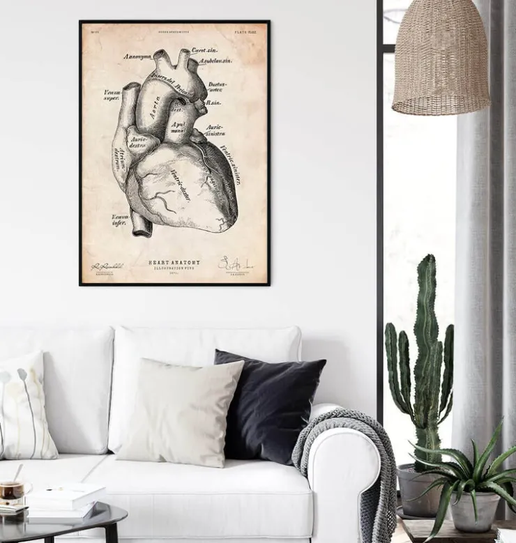 Herz Anatomie Kunst II | Codex Anatomicus Outlet