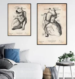 Herz Anatomie Kunst II | Codex Anatomicus Outlet