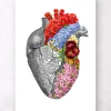 Herz Anatomie mit Blumen - Weiß | Codex Anatomicus New