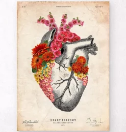 Herz Anatomie mit Blumen II - Altes Papier | Codex Anatomicus Discount