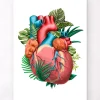 Herz Anatomie V - Floral - Weiß | Codex Anatomicus Online