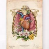 Herz, Lunge und Brustkorb - Floral - Altes Papier | Codex Anatomicus Fashion