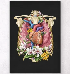 Herz, Lunge und Brustkorb - Blumen - Schwarz | Codex Anatomicus New