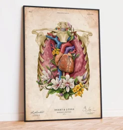 Herz, Lunge und Brustkorb - Floral - Altes Papier | Codex Anatomicus Fashion