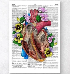 Herz mit Blumen II - Wörterbuch | Codex Anatomicus Best