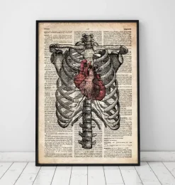 Herz und Brustkorb Kunst | Codex Anatomicus Best