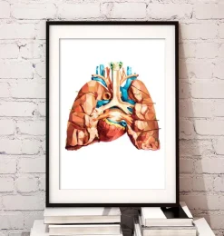 Herz und Lungen Anatomie | Codex Anatomicus Best
