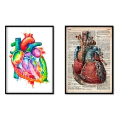 Herzanatomiemix - 5er Set | Codex Anatomicus Best