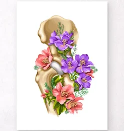 Hüfte Anatomie - Floral - Weiß | Codex Anatomicus Sale