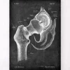 Hüftgelenk Anatomie - Chalkboard | Codex Anatomicus Discount