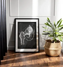 Hüftgelenk Anatomie - Chalkboard | Codex Anatomicus Discount