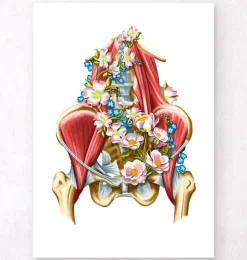 Iliacus- und Psoas-Muskeln - Floral - Weiß | Codex Anatomicus Hot