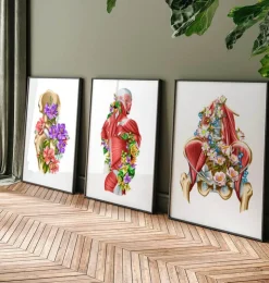 Iliacus- und Psoas-Muskeln - Floral - Weiß | Codex Anatomicus Hot