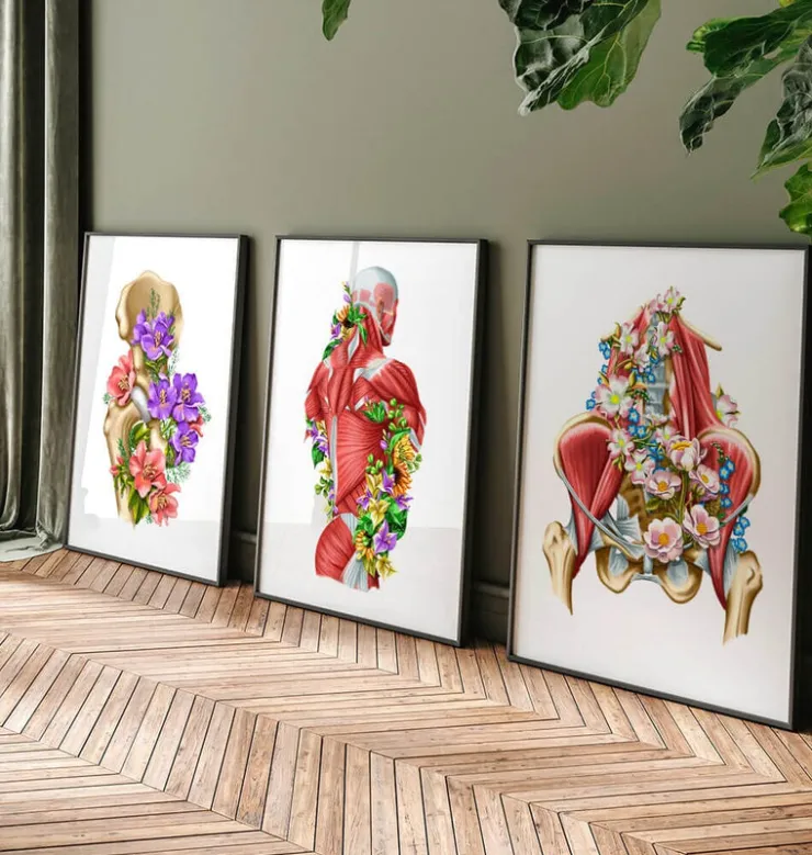 Iliacus- und Psoas-Muskeln - Floral - Weiß | Codex Anatomicus Hot
