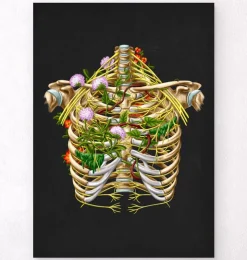 Interkostalnerv - Floral - Schwarz | Codex Anatomicus Outlet