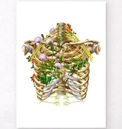Interkostalnerv - Floral - Weiß | Codex Anatomicus Online