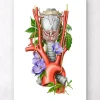 Kehlkopf, Schilddrüse und Aorta - Aquarell - Weiß | Codex Anatomicus Best