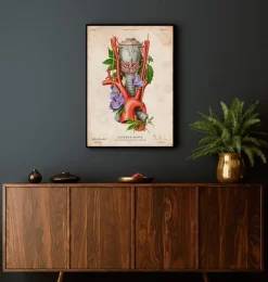 Kehlkopf, Schilddrüse und Aorta - Altes Papier | Codex Anatomicus Online