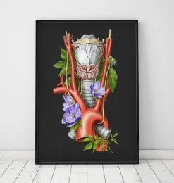 Kehlkopf, Schilddrüse und Aorta - Aquarell - Schwarz | Codex Anatomicus Sale
