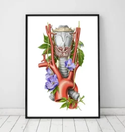 Kehlkopf, Schilddrüse und Aorta - Aquarell - Weiß | Codex Anatomicus Best