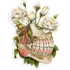 Kiefer Anatomie Aufkleber - Floral | Codex Anatomicus Discount