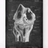 Knie Anatomie - Chalkboard | Codex Anatomicus Hot