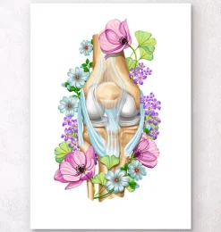 Knie Anatomie - Floral - Weiß | Codex Anatomicus Online