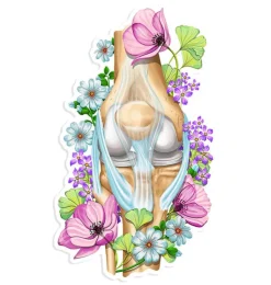 Knie Anatomie Aufkleber - Floral | Codex Anatomicus Outlet