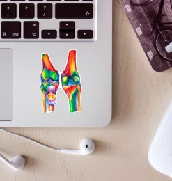 Knie Anatomie Aufkleber - Aquarell | Codex Anatomicus Outlet